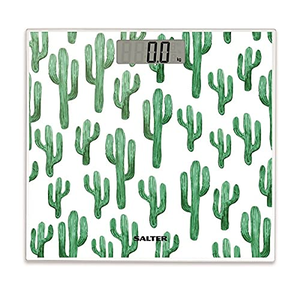 Balance personnes Cactus